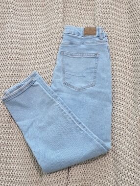 American Eagle Outfitters Curvy Mom Jean 4 Short